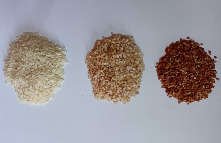 The rice on the left is regular white (polished) and the middle one is boiled and the one on the right is red rice.
